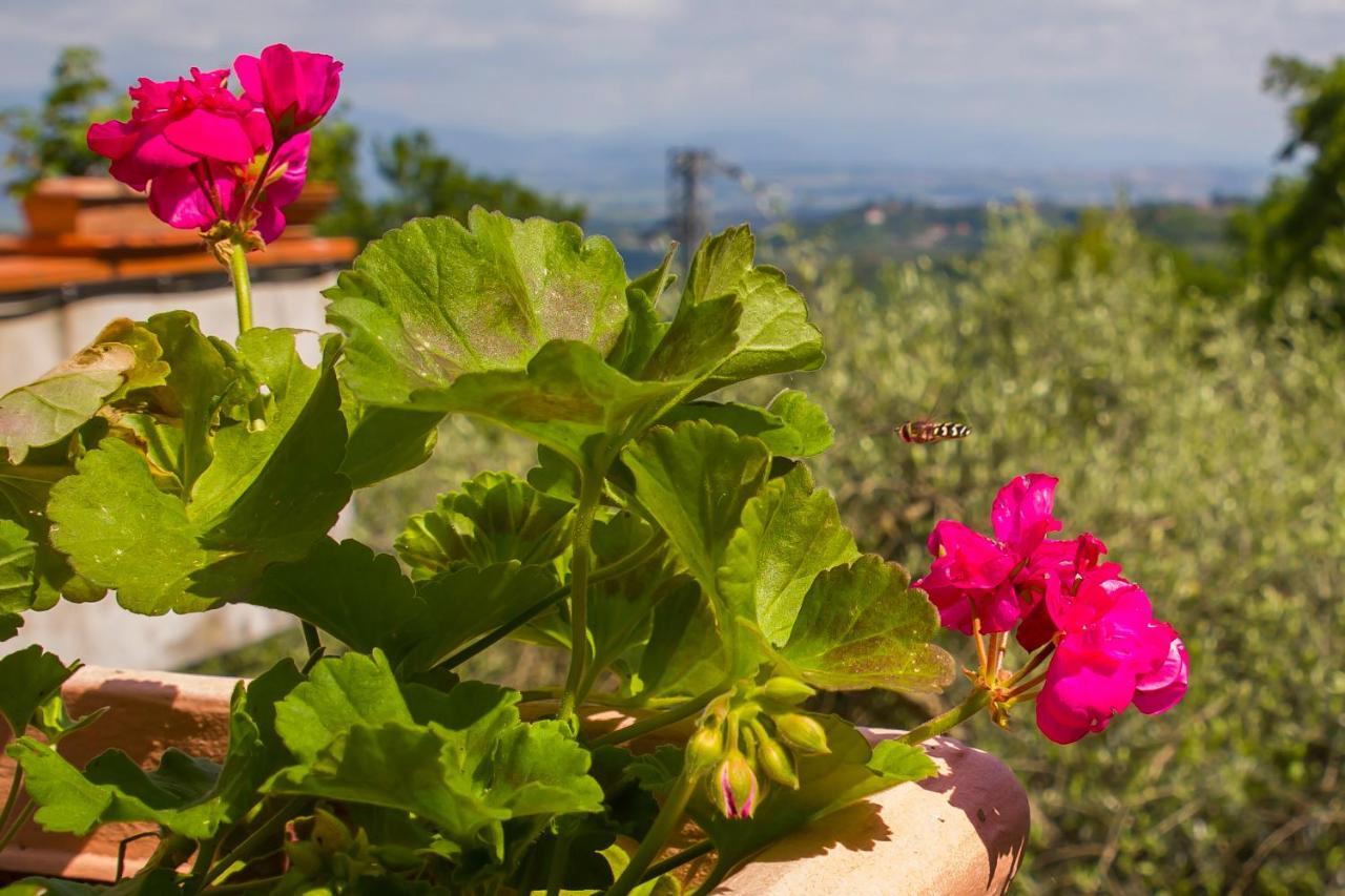 Poggio Della Roverella Country House Morlupo Buitenkant foto